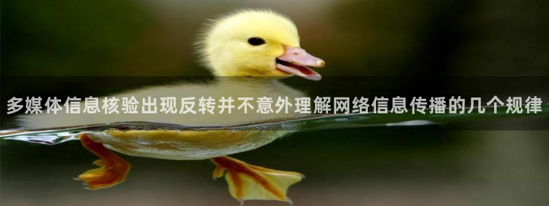黑料热点话题：多媒体信息核验出现反转并不意外理解网络信息传播的几个规律