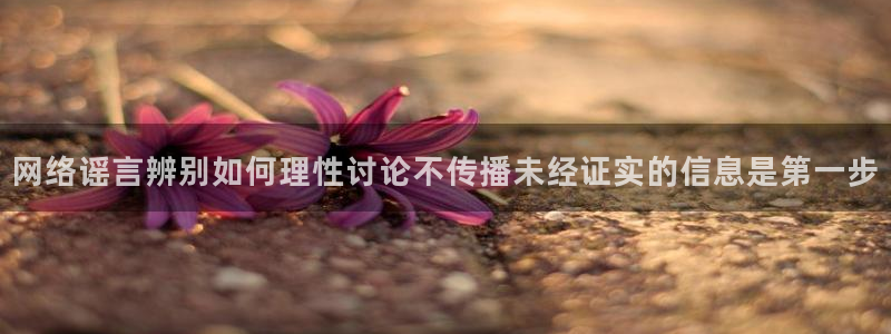 黑料热点话题:网络谣言辨别如何理性讨论不传播未经证实的信息是第一步