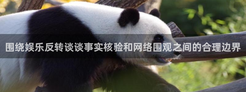 热点爆料大全:围绕娱乐反转谈谈事实核验和网络围观之间的合理边界