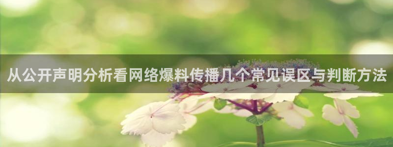 黑料爆料热点排行榜:从公开声明分析看网络爆料传播几个常见误区与判断方法