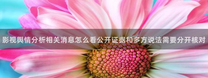 黑料网络资讯:影视舆情分析相关消息怎么看公开证据和多方说法需要分开核对