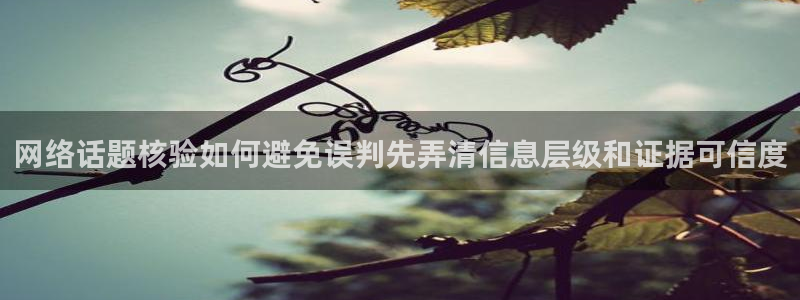 黑料爆料热点:网络话题核验如何避免误判先弄清信息层级和证据可信度
