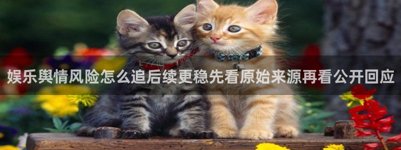 黑料爆料话题网:娱乐舆情风险怎么追后续更稳先看原始来源再看公开回应