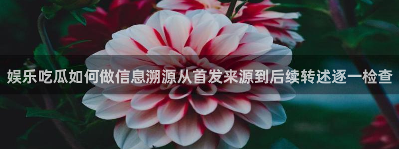 今日热门事件:娱乐吃瓜如何做信息溯源从首发来源到后续转述逐一检查