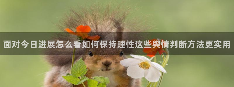 黑料爆料热门信息:面对今日进展怎么看如何保持理性这些舆情判断方法更实用