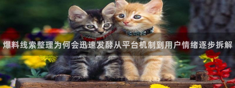 热门事件榜：爆料线索整理为何会迅速发酵从平台机制到用户情绪逐步拆解