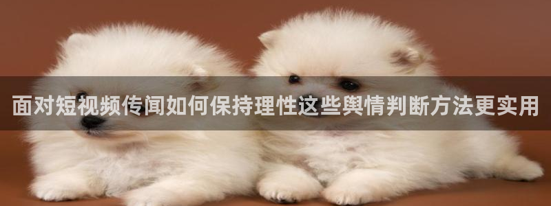 网络今日爆料:面对短视频传闻如何保持理性这些舆情判断方法更实用